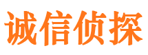 贡觉诚信私家侦探公司